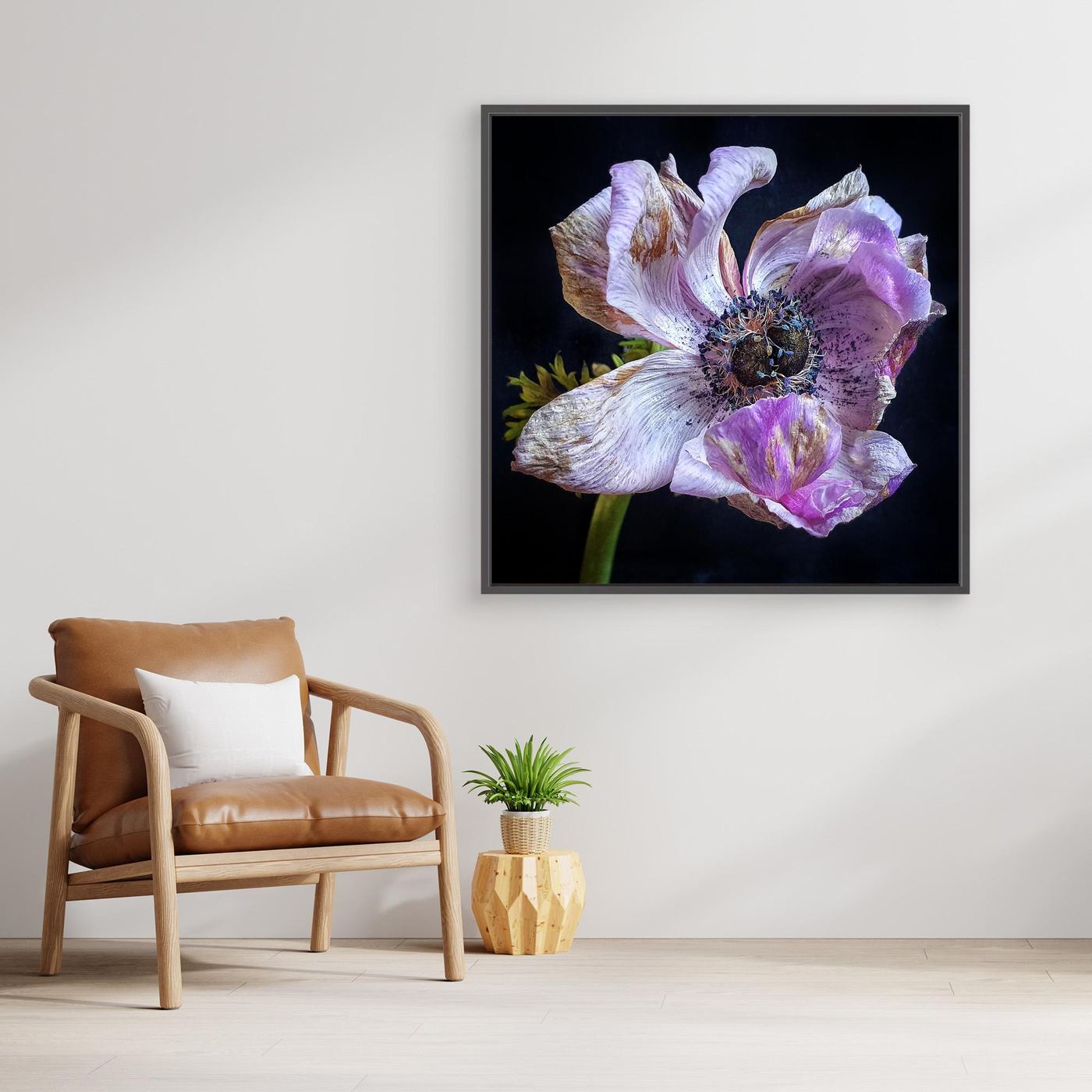 Bedagad Anemone II Faded