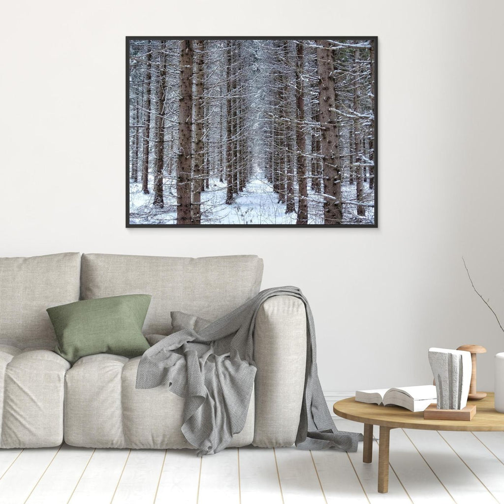 Forest field II
