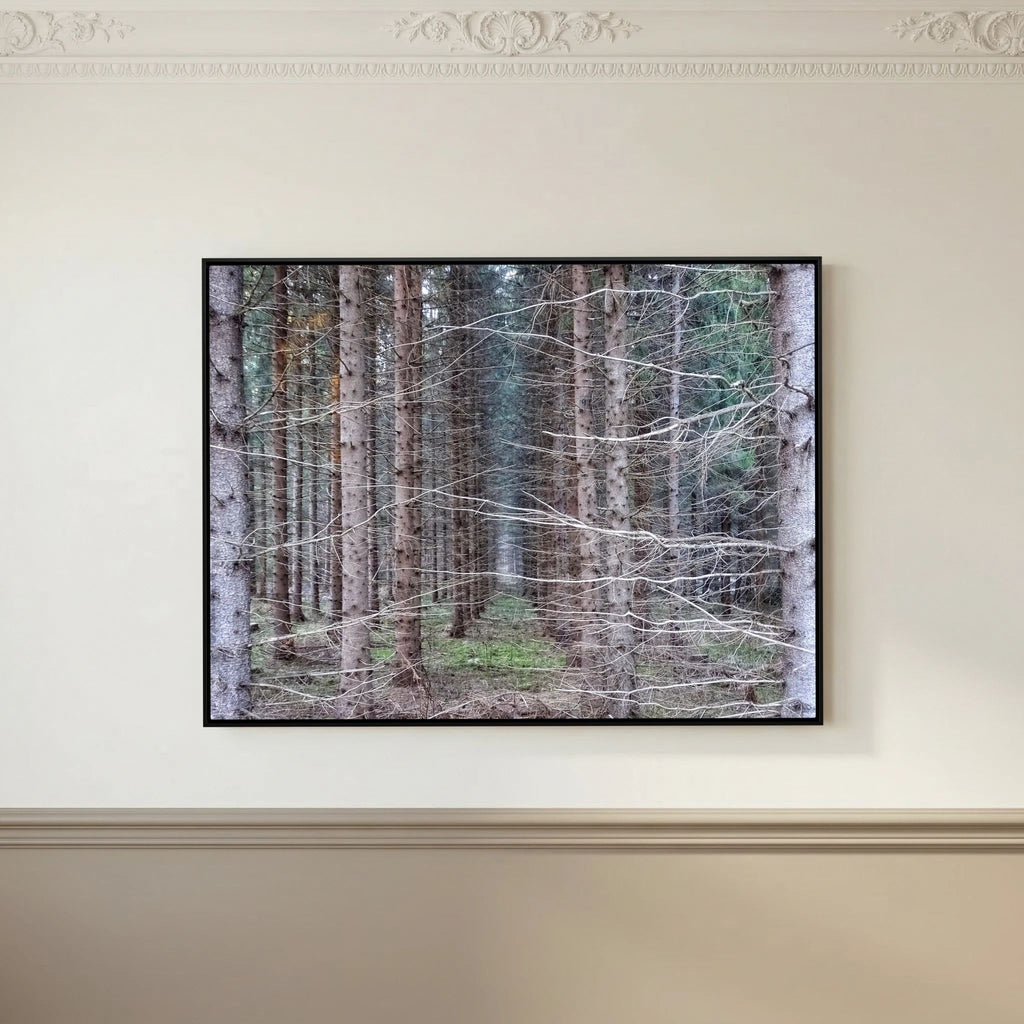 Forest Field I