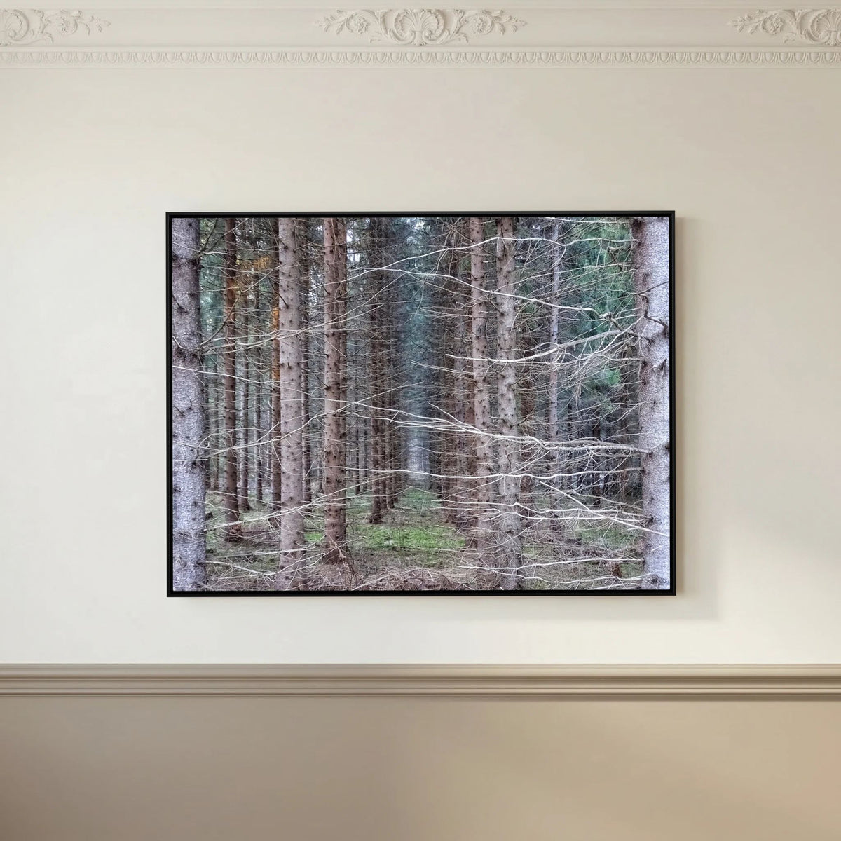 Forest Field I