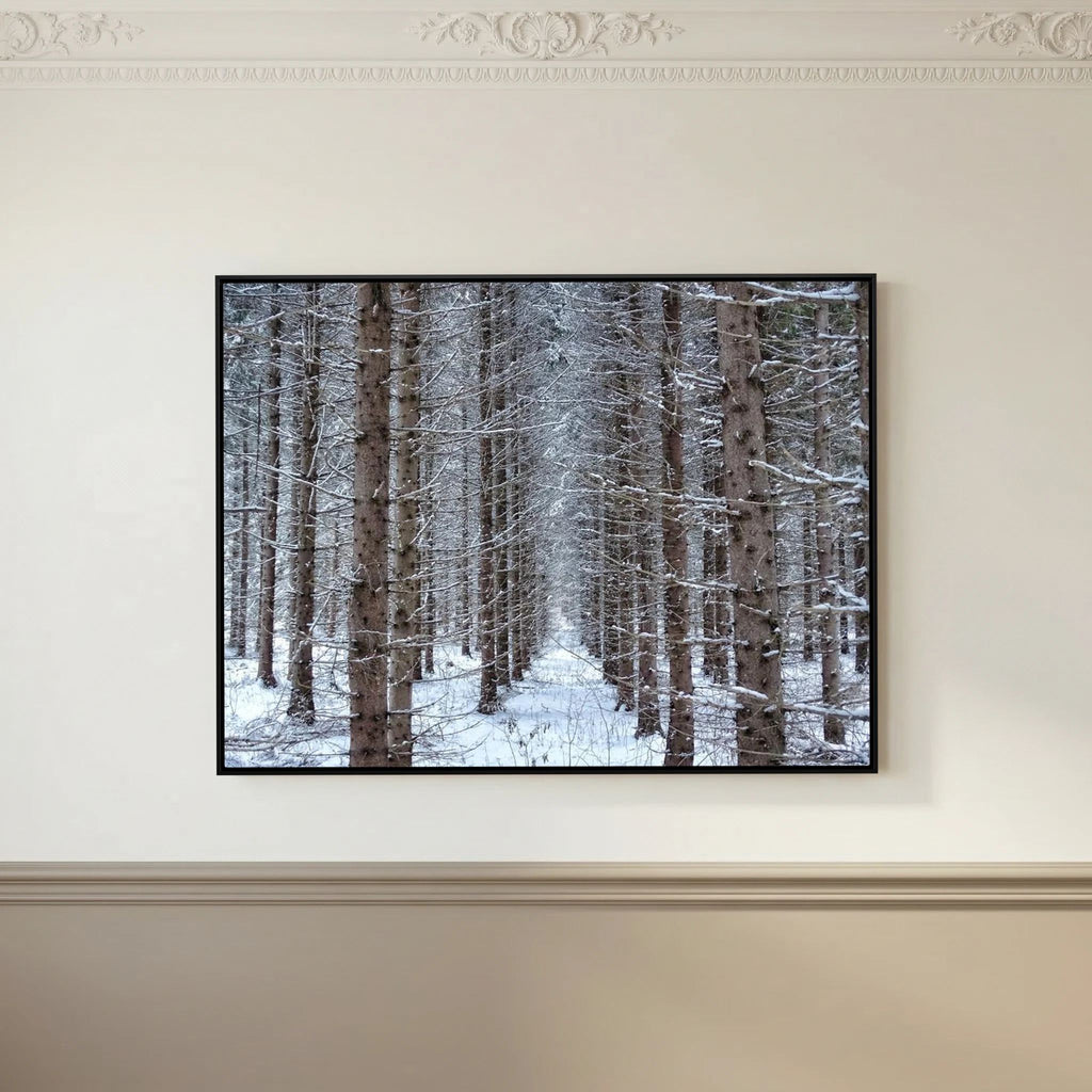 Forest field II