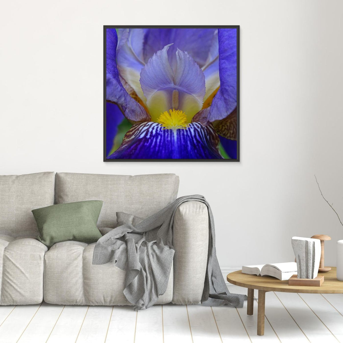 Blå Iris Blue