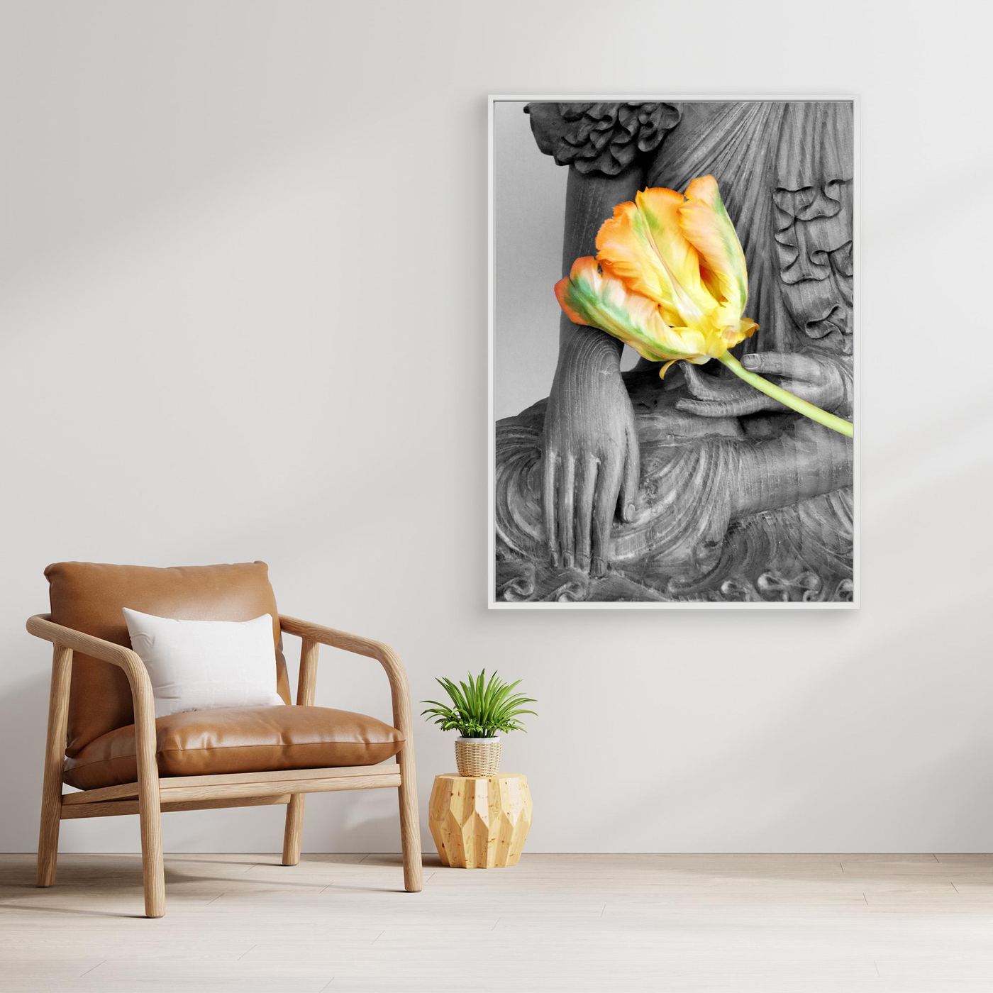 Budda Tulip