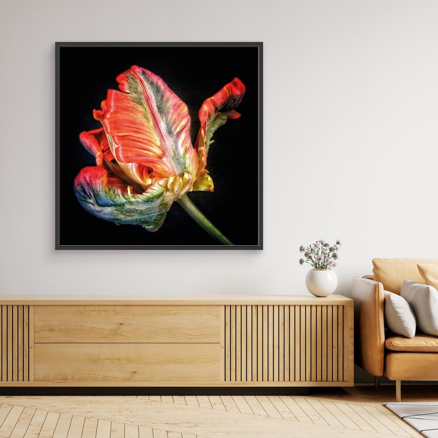 Tulpan Parrot Tulip