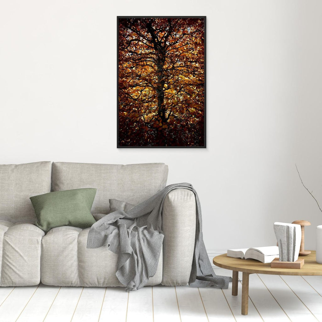 Avenbok Hornbeam
