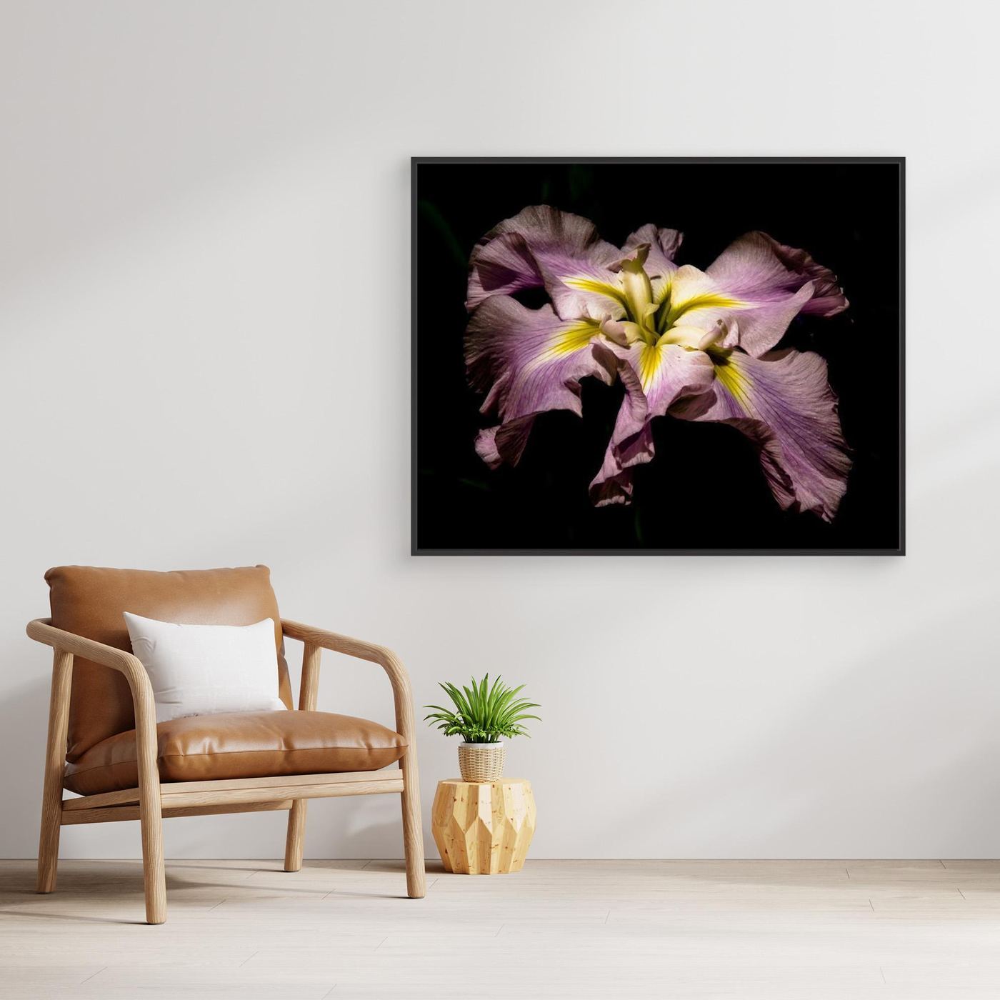 Iris Portland