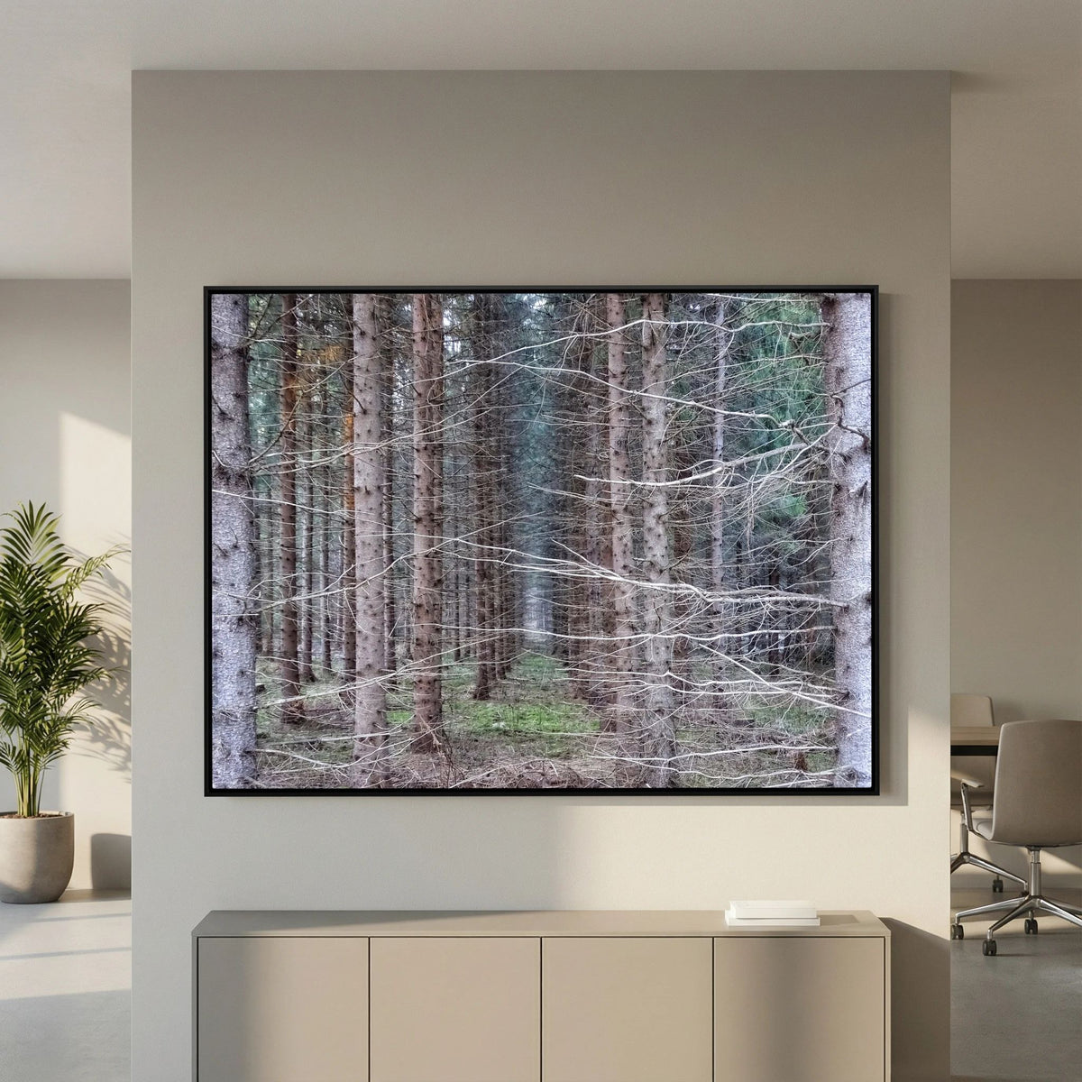 Forest Field I