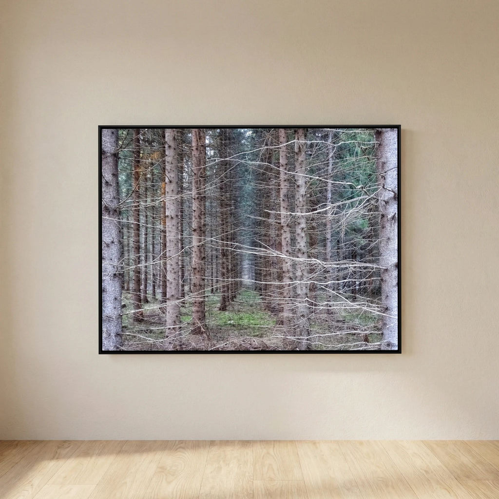 Forest Field I