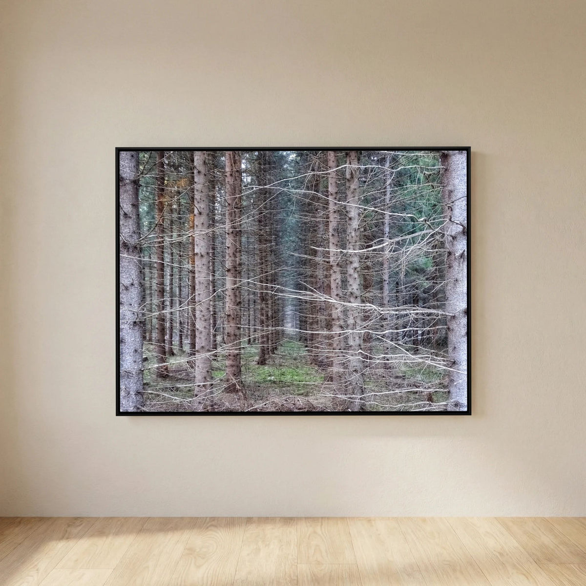 Forest Field I