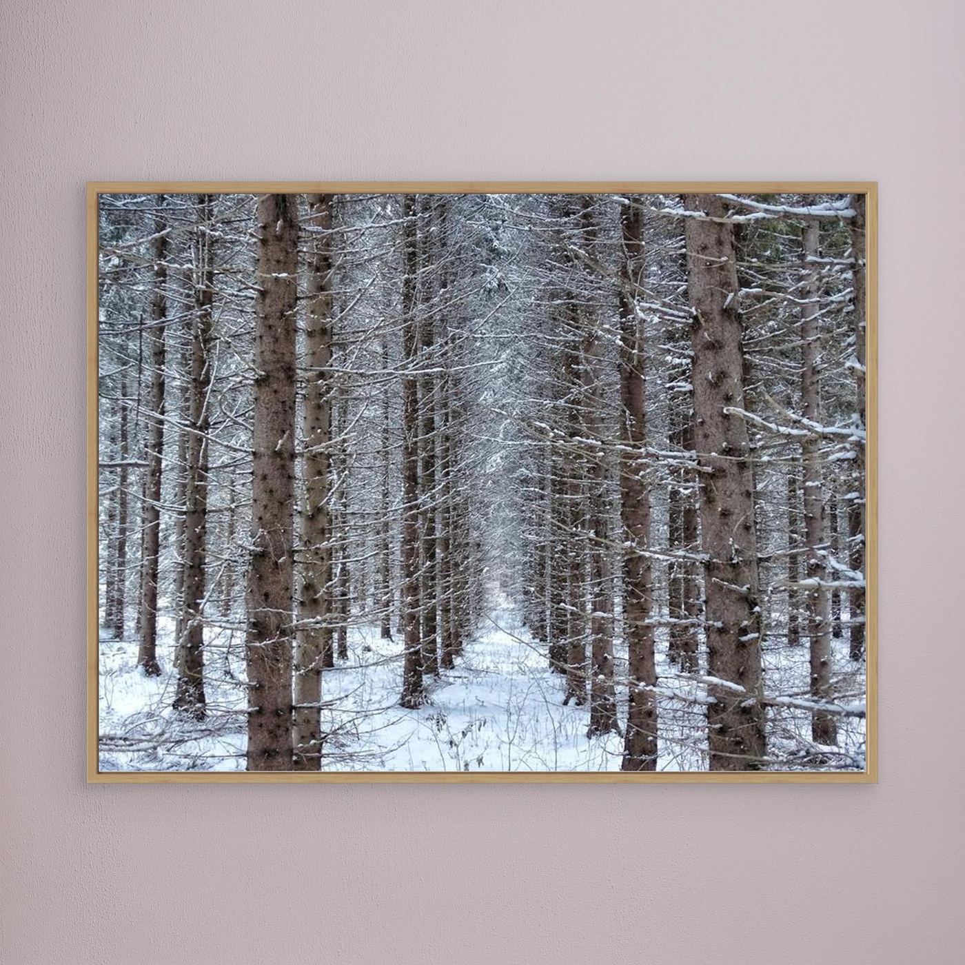 Forest field II