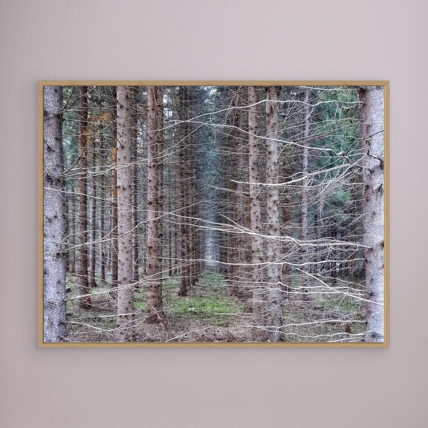 Forest Field I