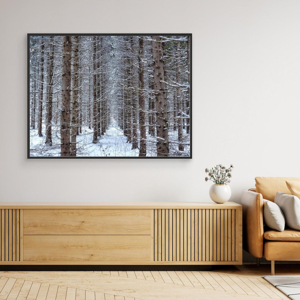 Forest field II