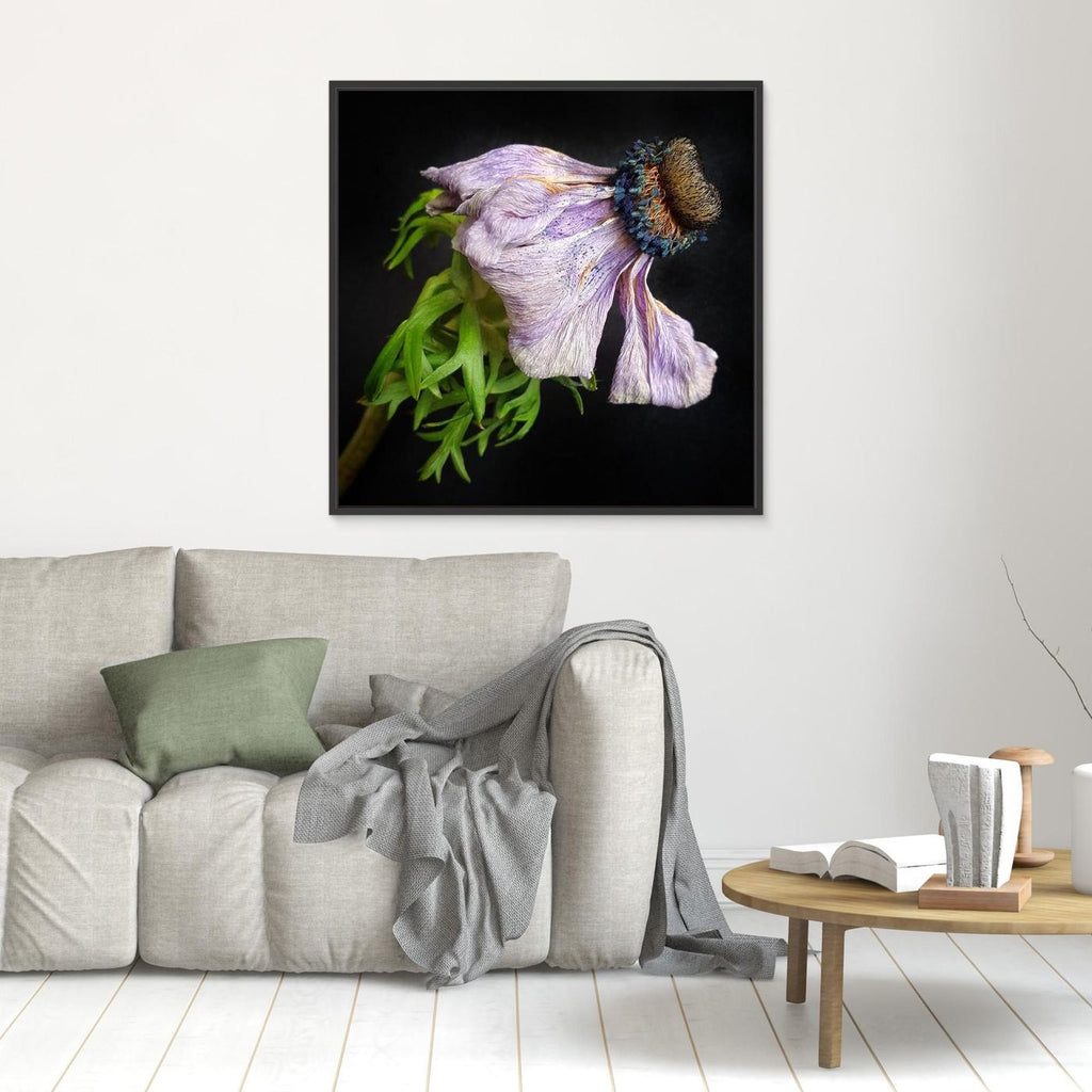 Bedagad Anemone Faded