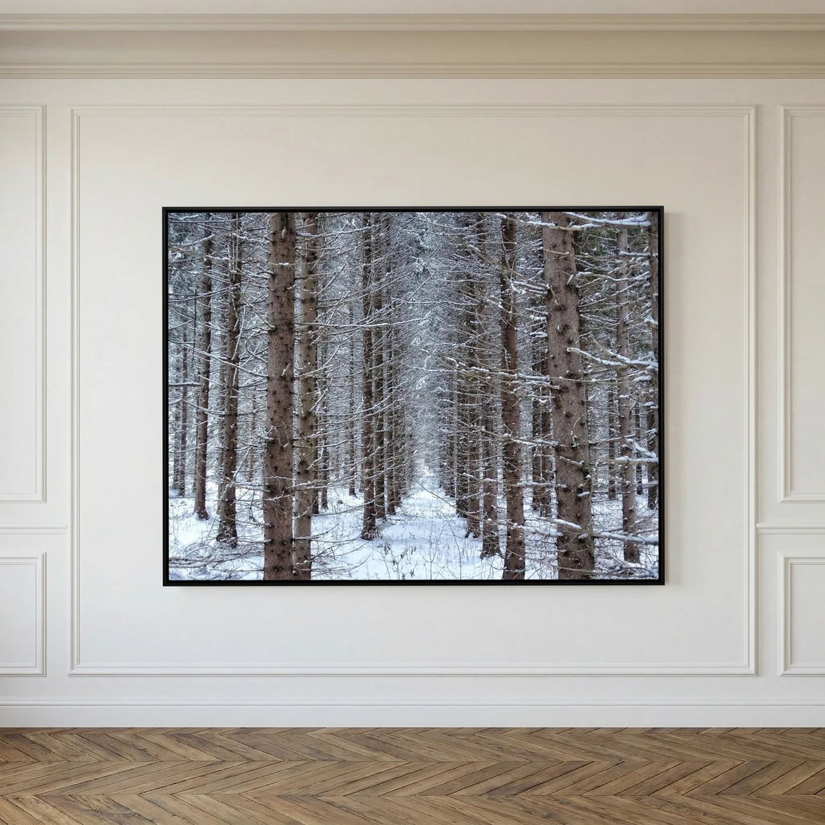 Forest field II