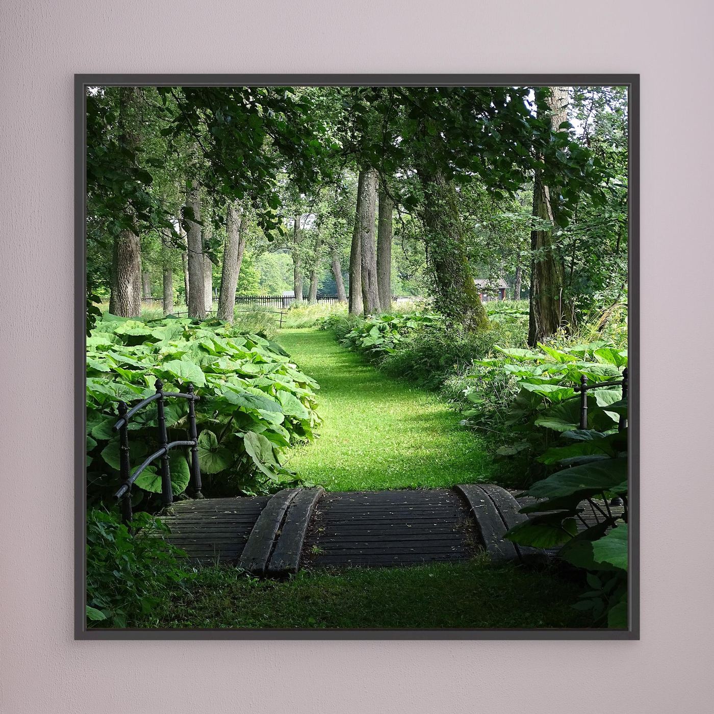 Meadow II
