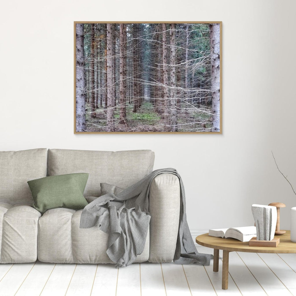 Forest Field I