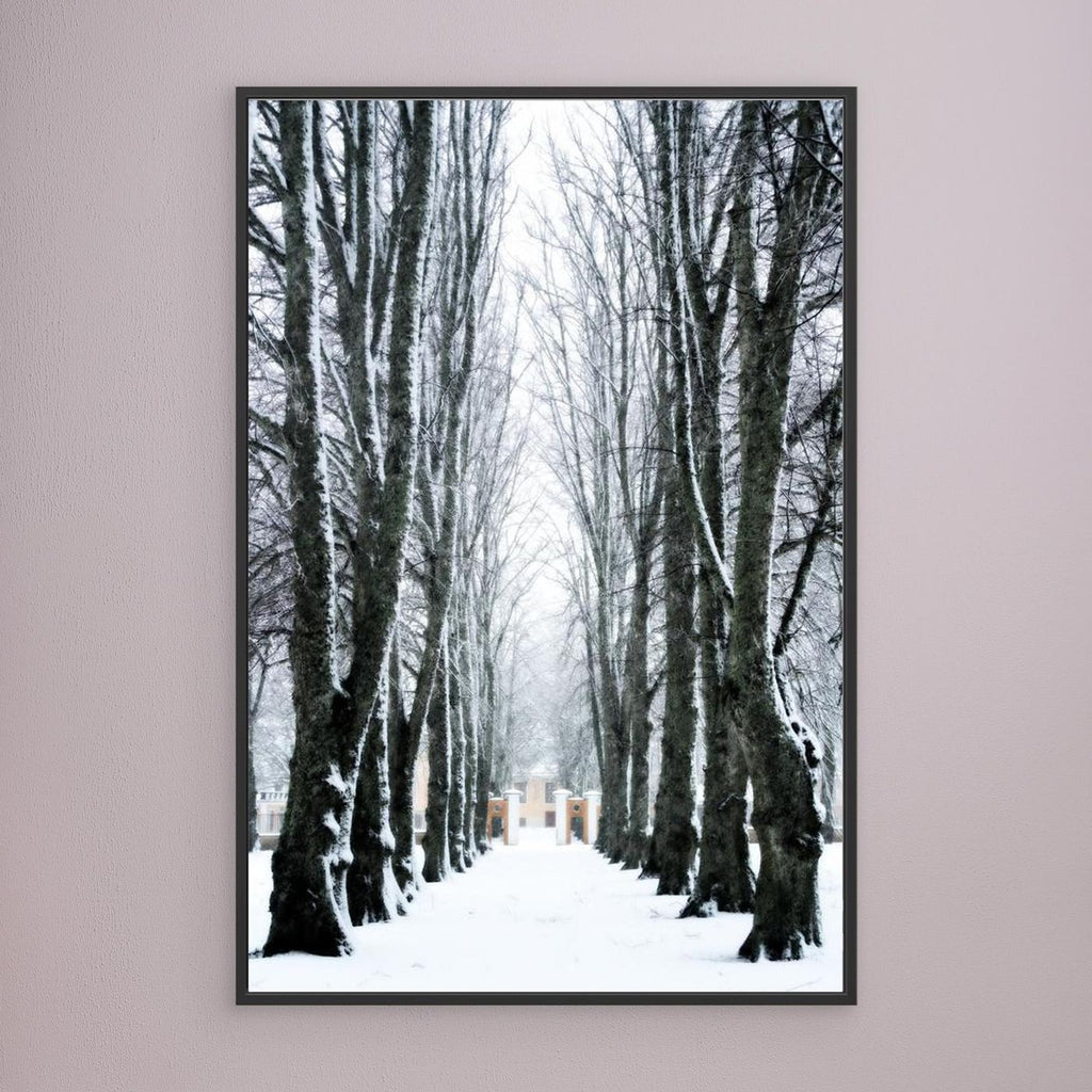 Lindallé Linden trees