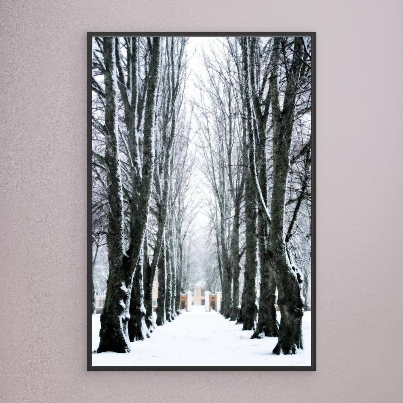 Lindallé Linden trees