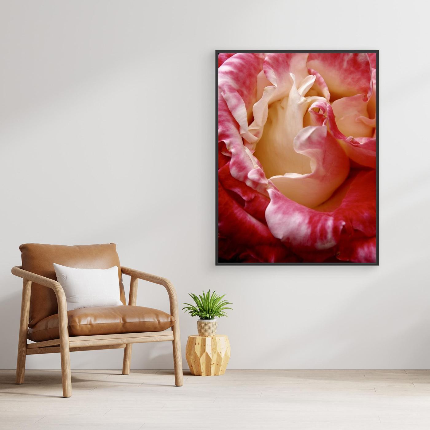 Ros Portland Rose