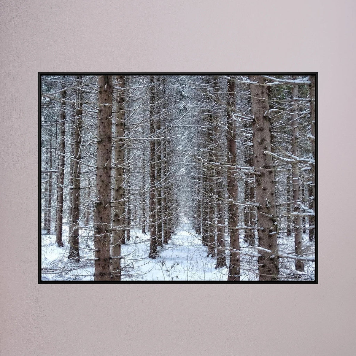 Forest field II