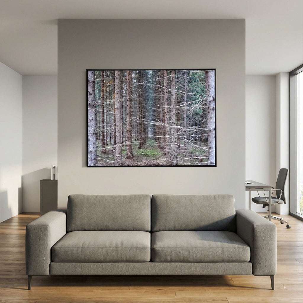 Forest Field I