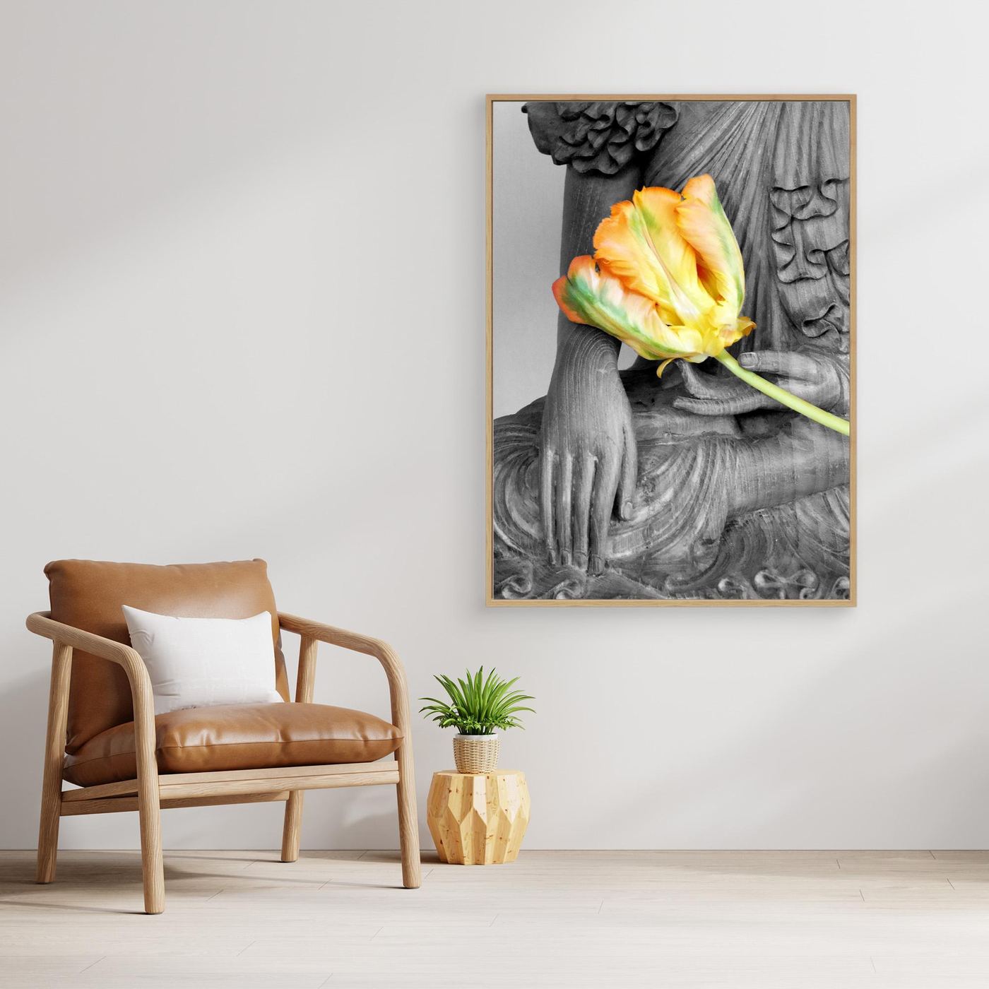 Budda Tulip