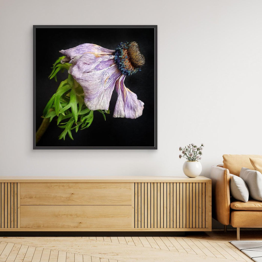 Bedagad Anemone Faded