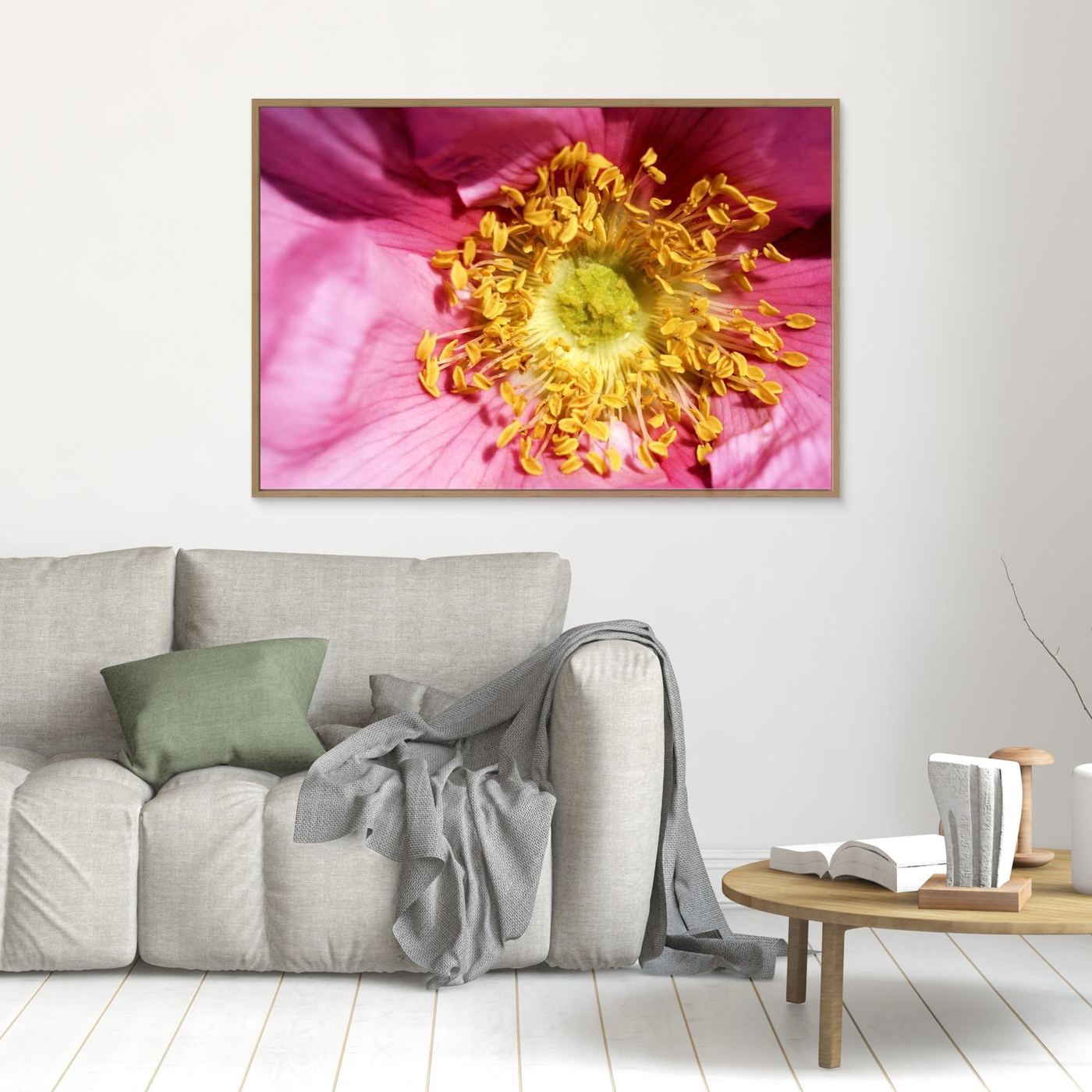 Ros Hunter Valley Rose