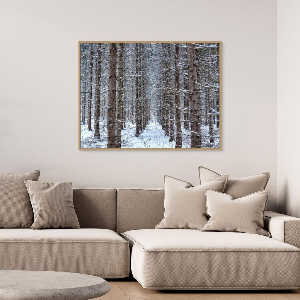 Forest field II