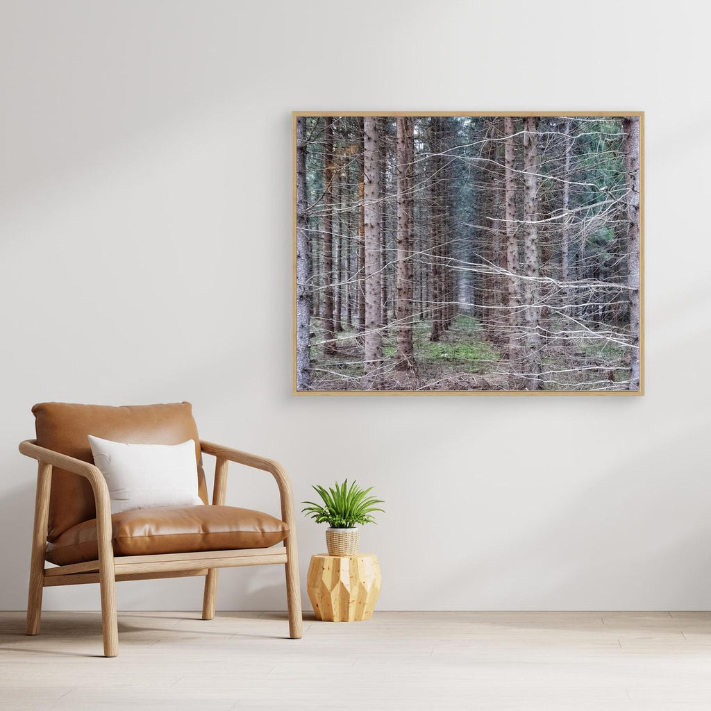 Forest Field I