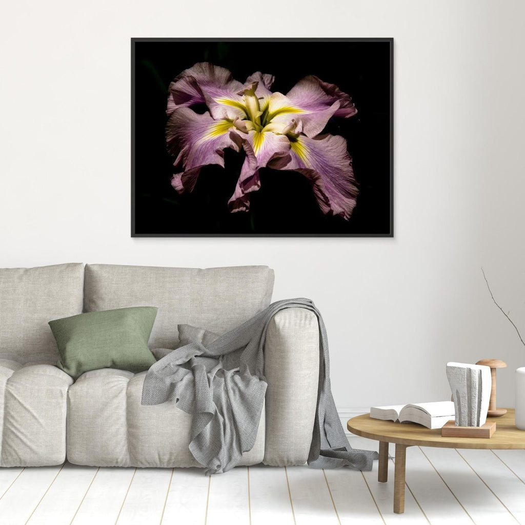 Iris Portland
