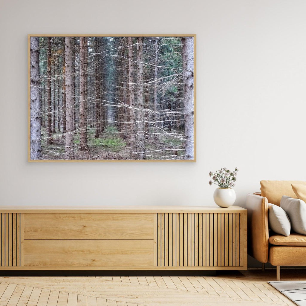 Forest Field I