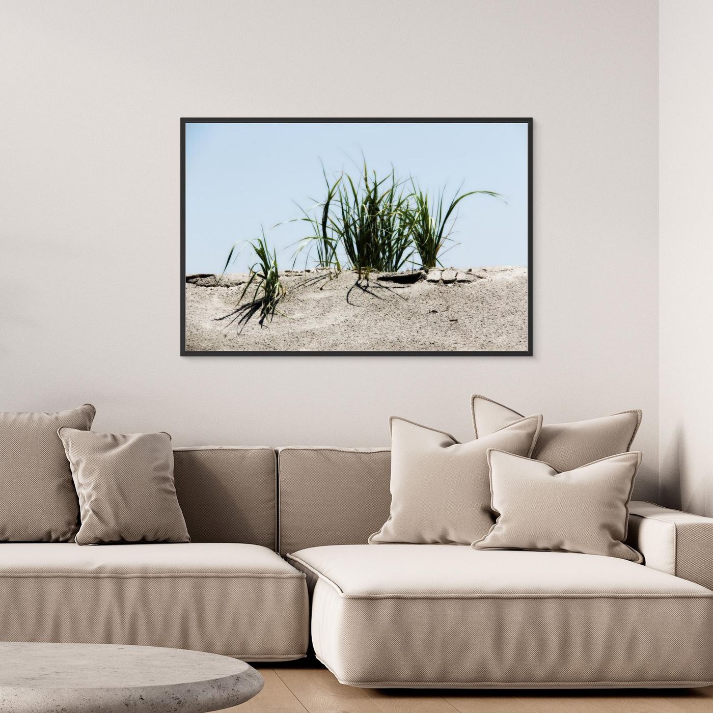 Jersey Shores USA 02