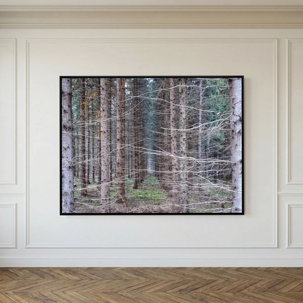 Forest Field I