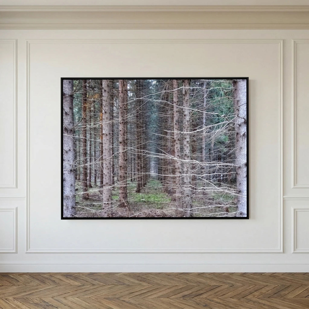 Forest Field I