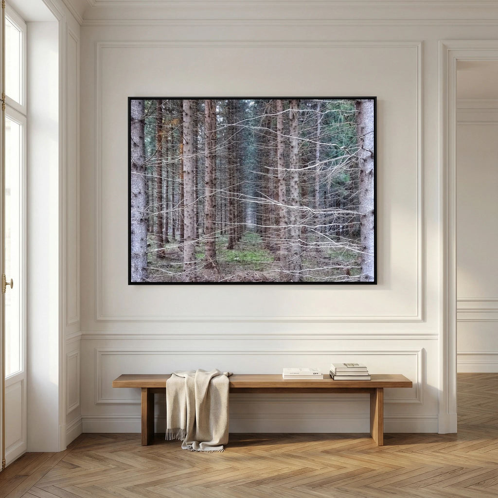 Forest Field I
