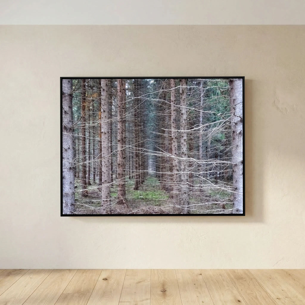 Forest Field I