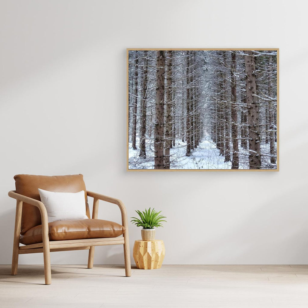 Forest field II