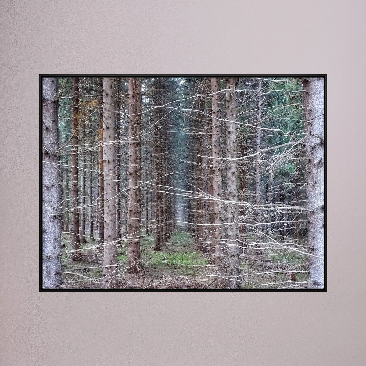 Forest Field I