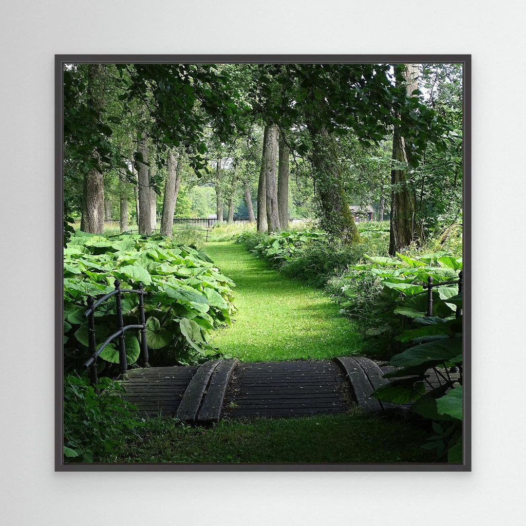Meadow II