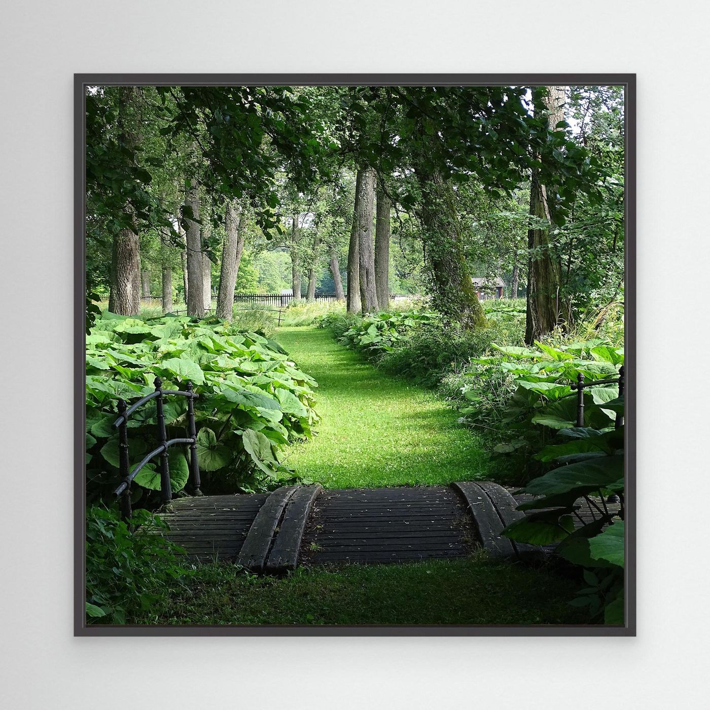 Meadow II
