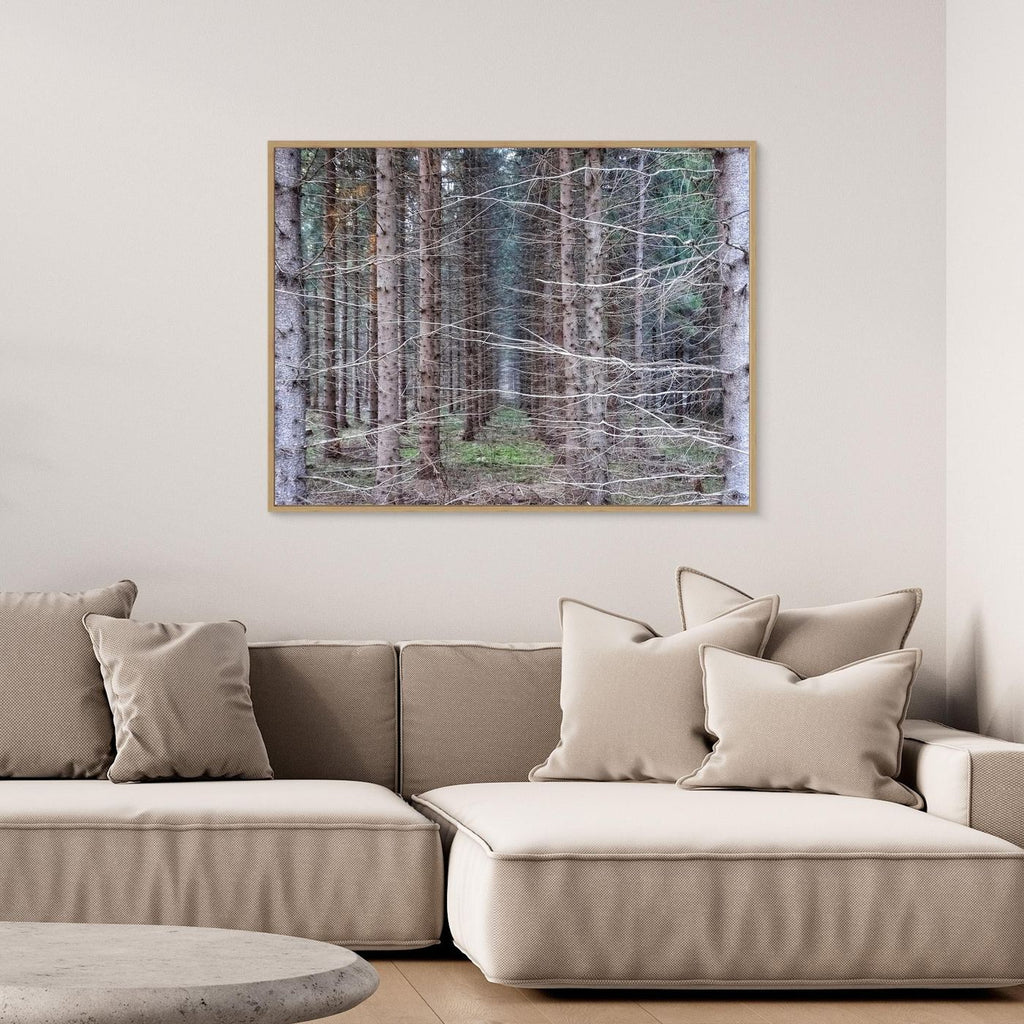 Forest Field I