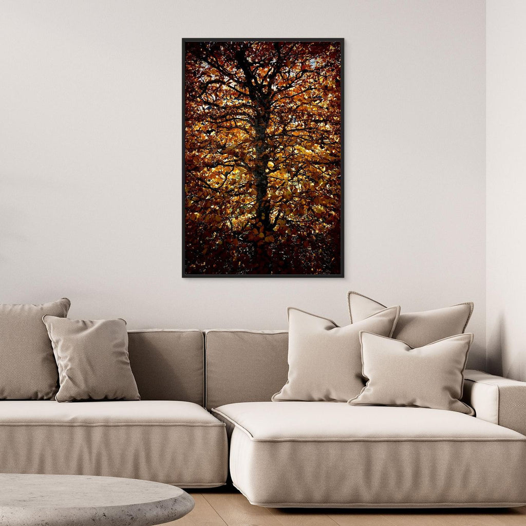 Avenbok Hornbeam