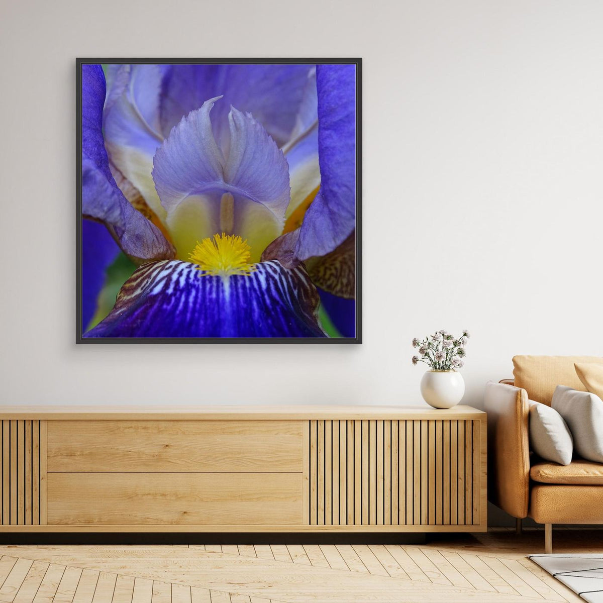 Blå Iris Blue