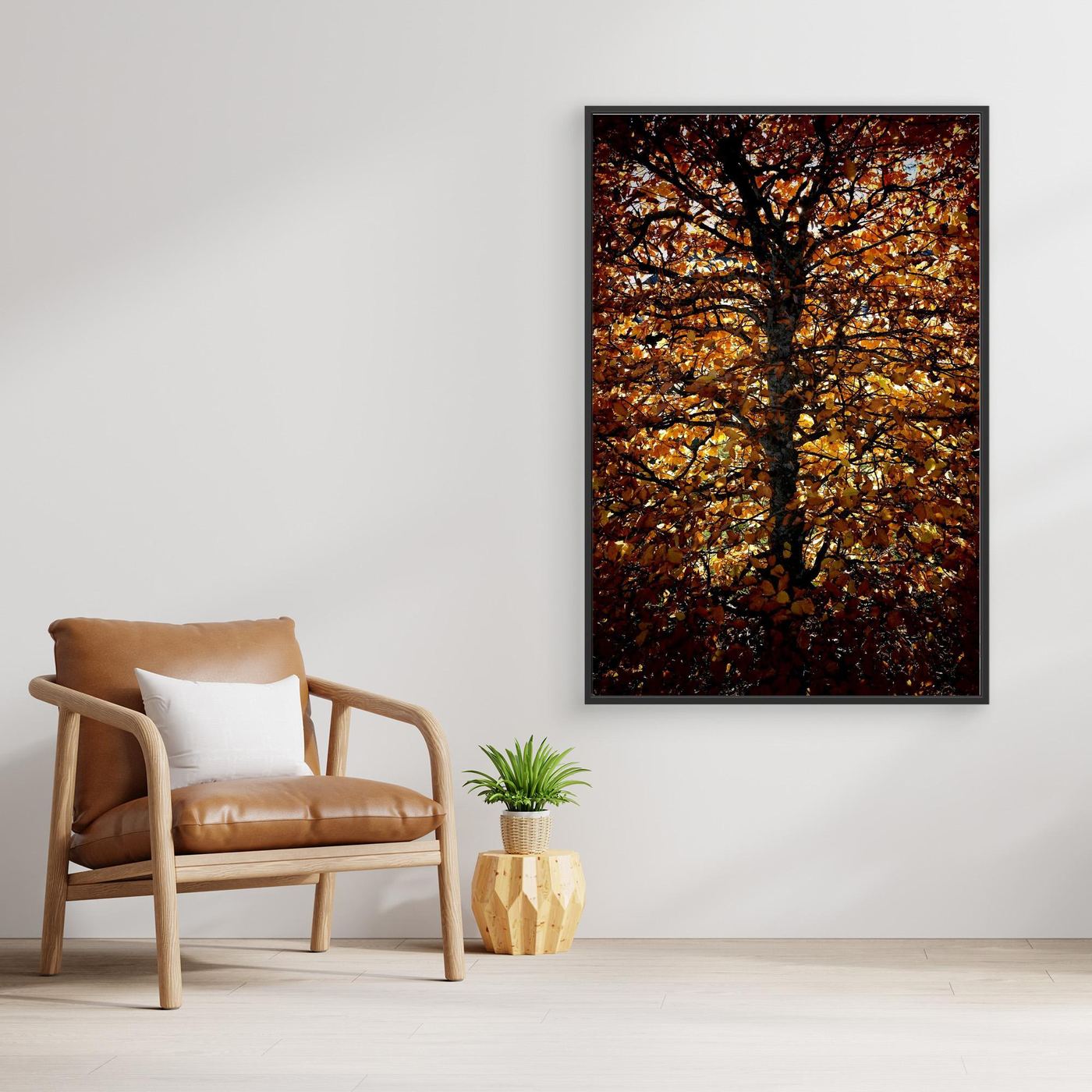 Avenbok Hornbeam