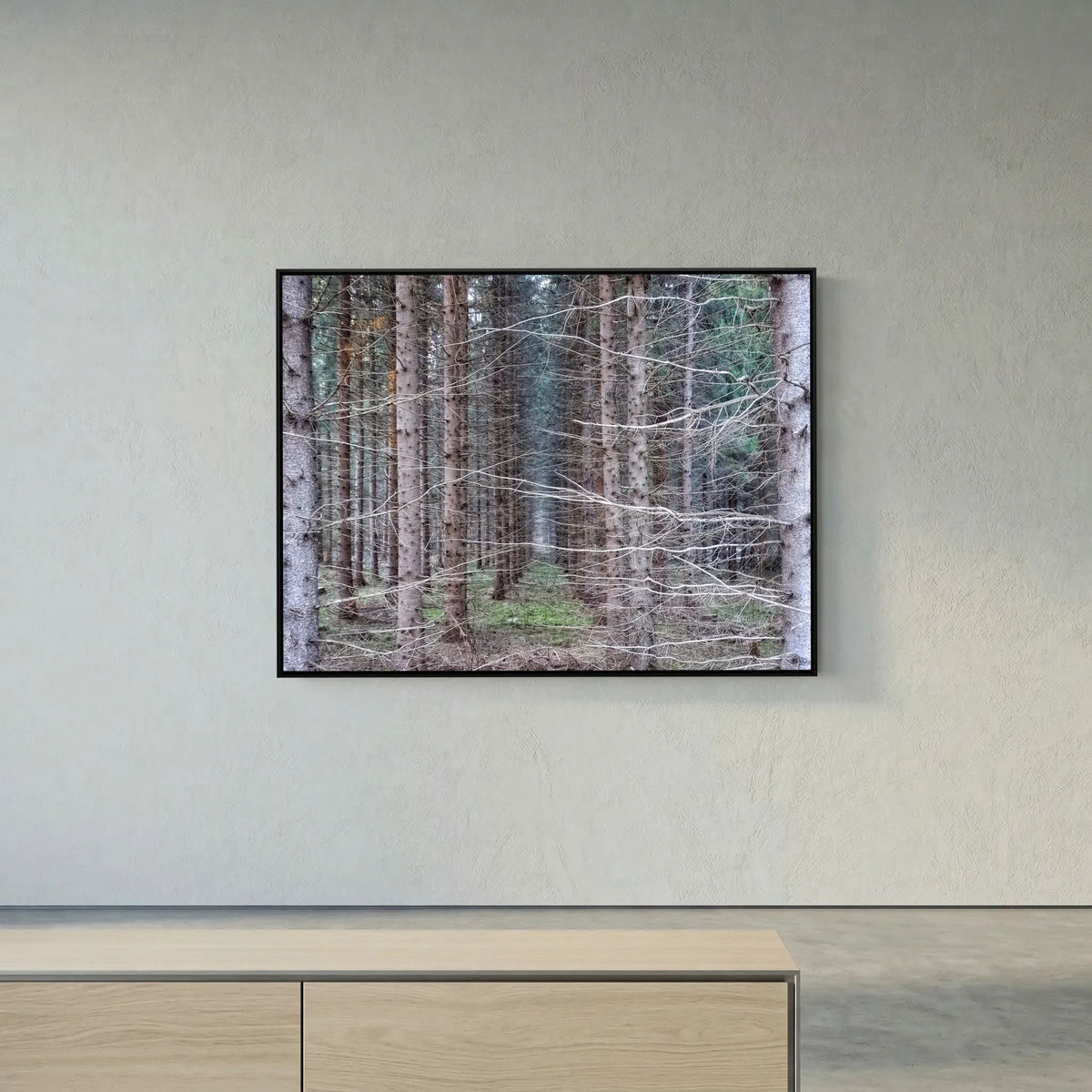 Forest Field I