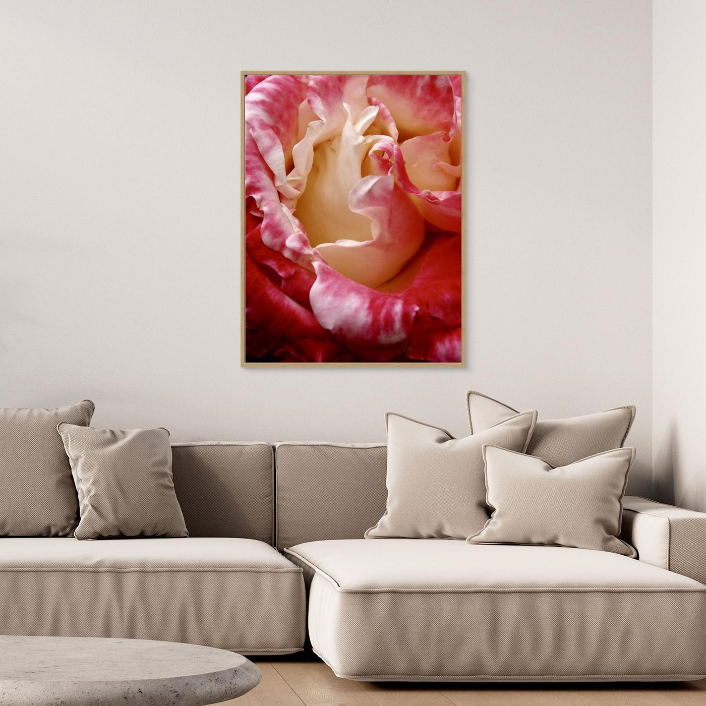 Ros Portland Rose