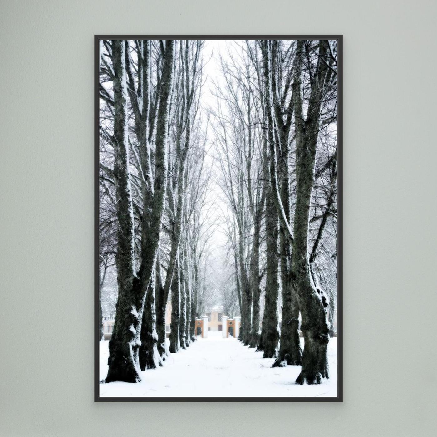 Lindallé Linden trees