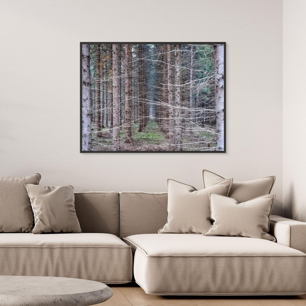 Forest Field I