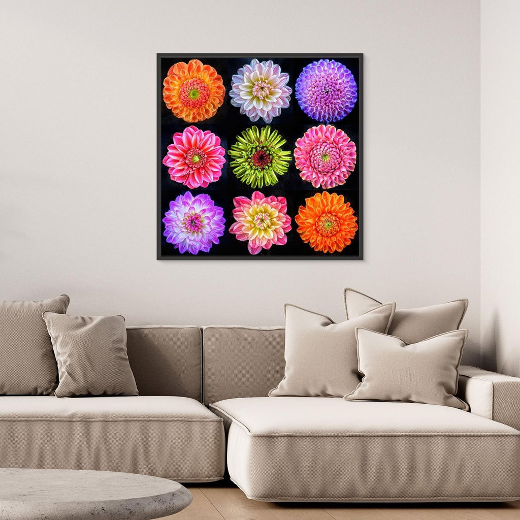 Dahlias & Zinnia